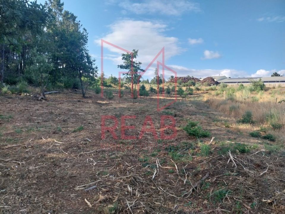Helårsgrund i Aguiar da Beira, Guarda - foto 2
