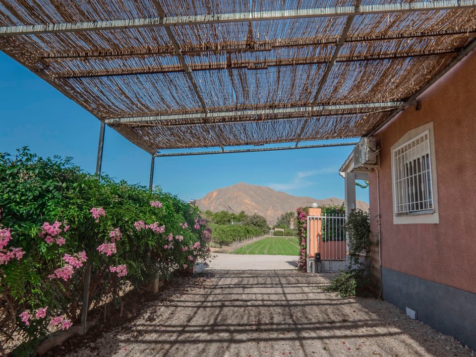 Masia a Orihuela, Alicante - foto 4