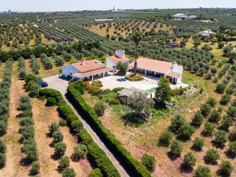 Farm i Moura, Beja - foto 1