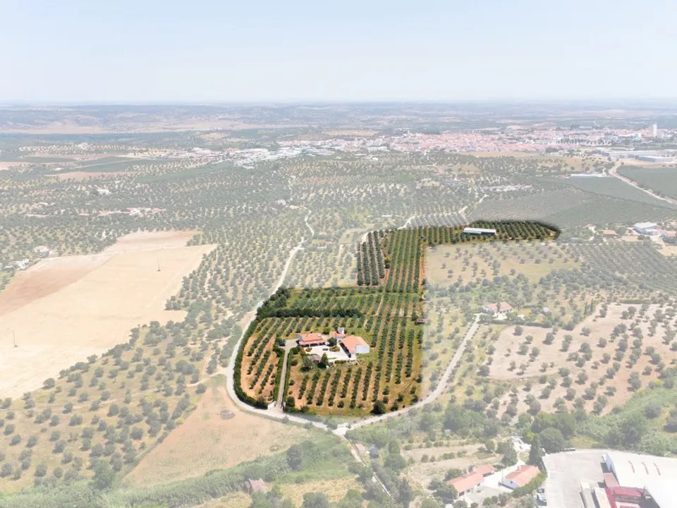 Farm i Moura, Beja - foto 2