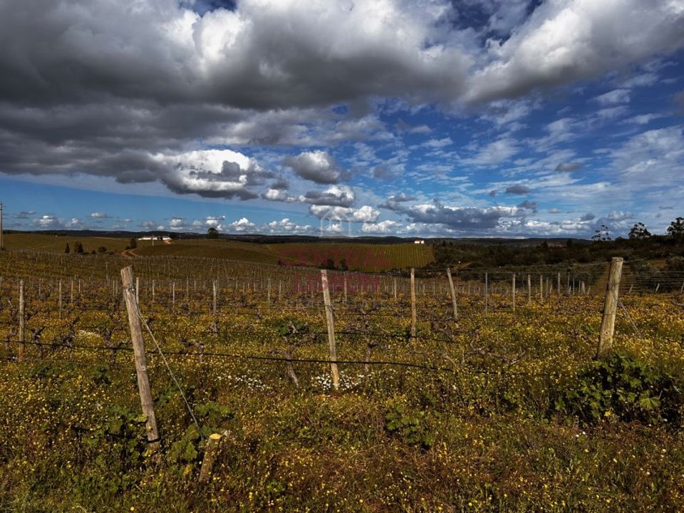 Helårsgrund i Alandroal, Evora - foto 2