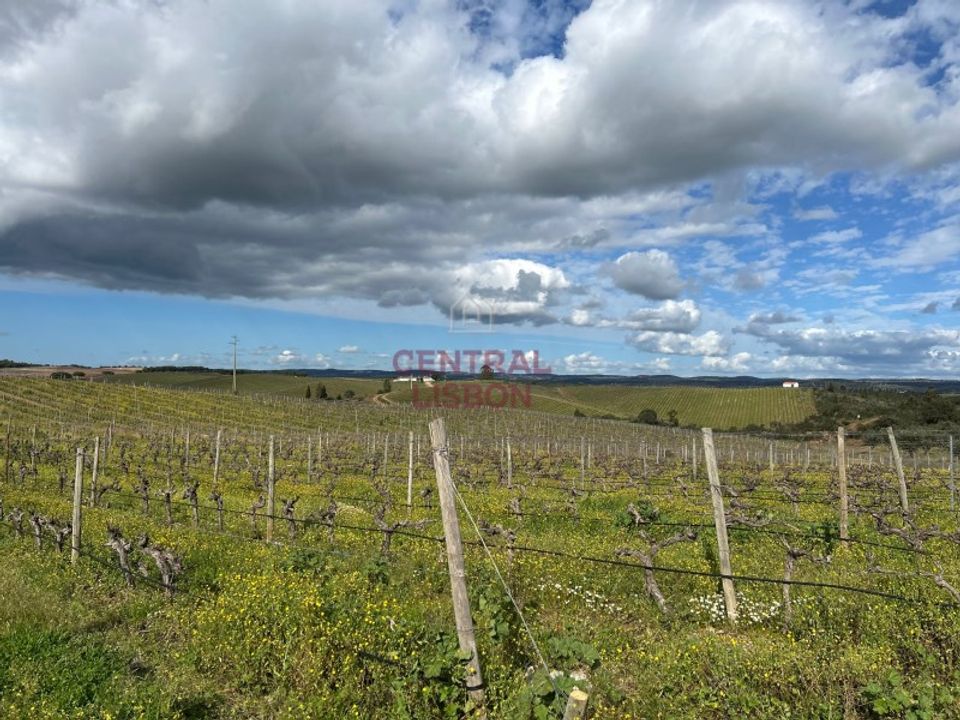 Helårsgrund i Alandroal, Evora - foto 4