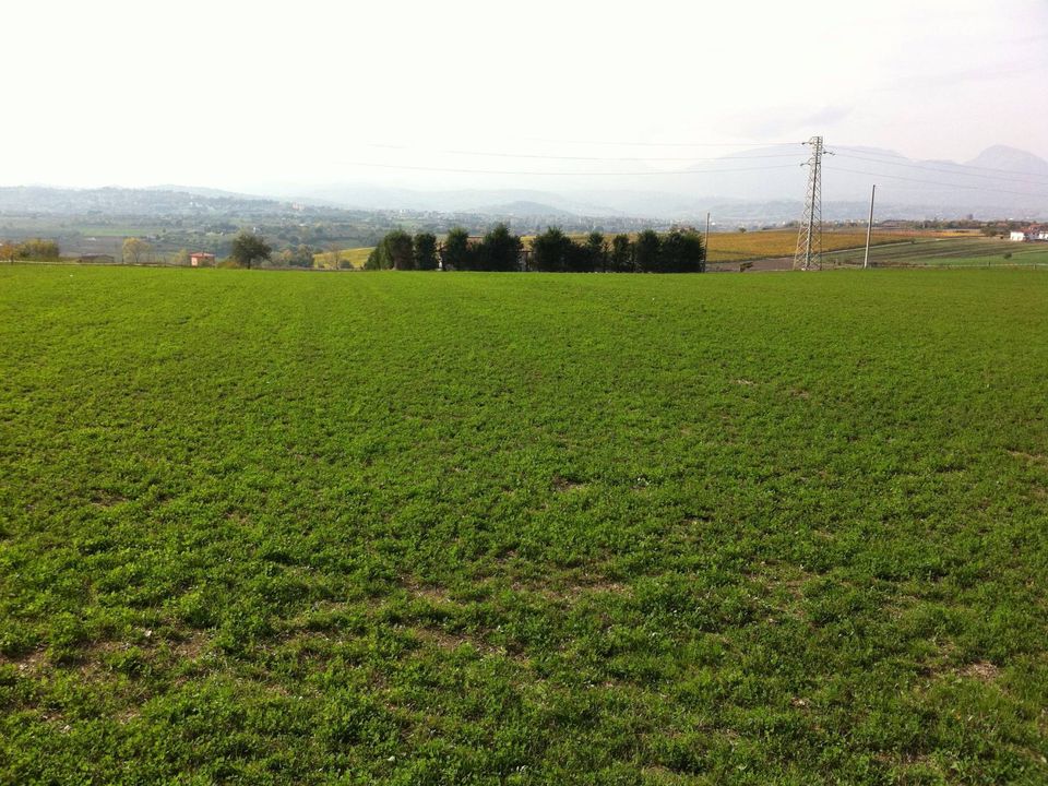 Helårsgrund i Benevento, Benevento - foto 1