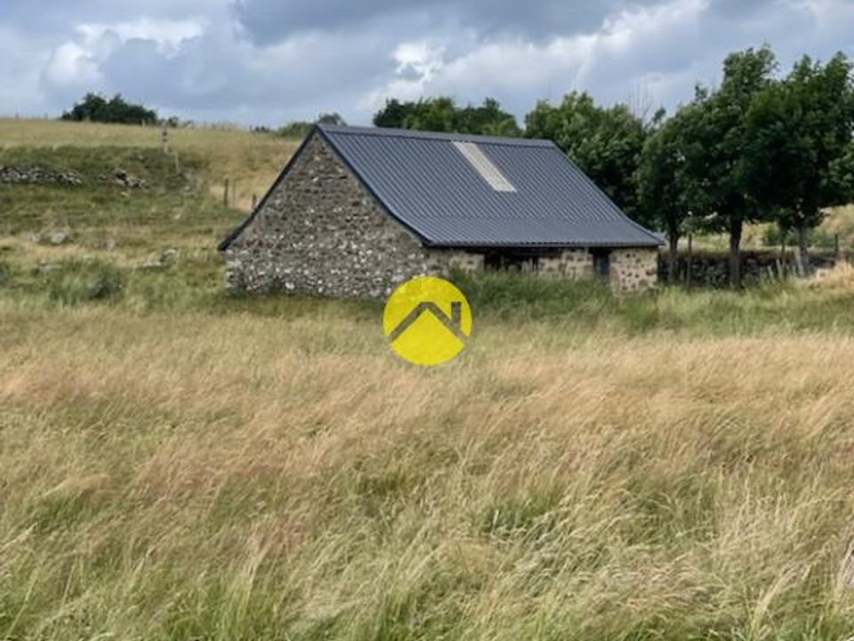 Helårsgrund i Pierrefort, Cantal - foto 5