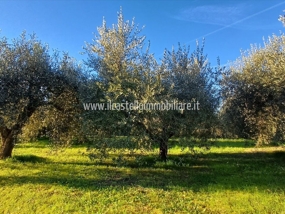 Helårsgrund i Chiusi, Siena - foto 1