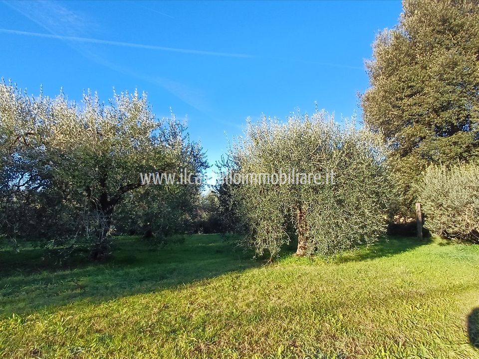 Helårsgrund i Chiusi, Siena - foto 2