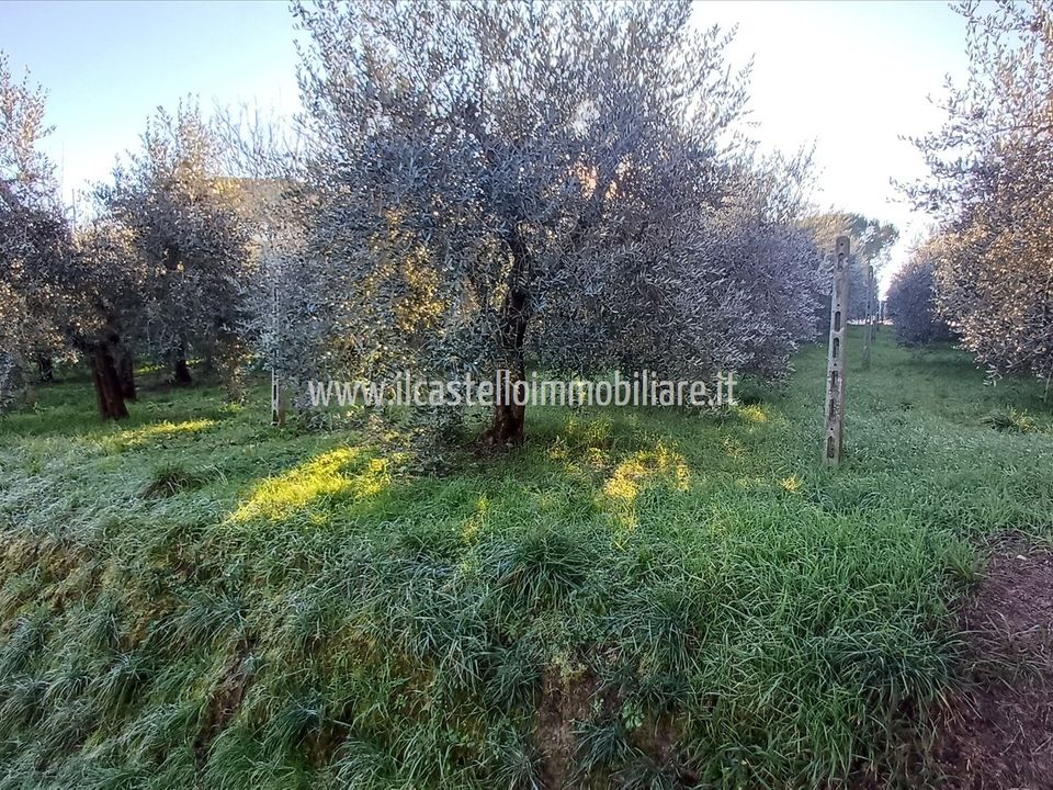 Helårsgrund i Chiusi, Siena - foto 3