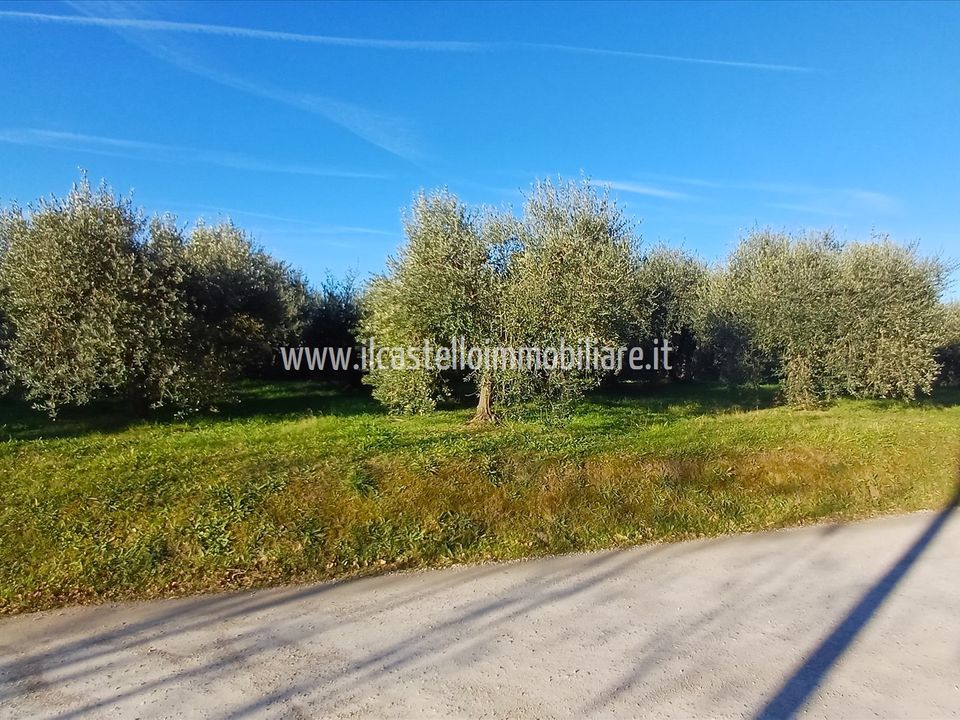 Helårsgrund i Chiusi, Siena - foto 4