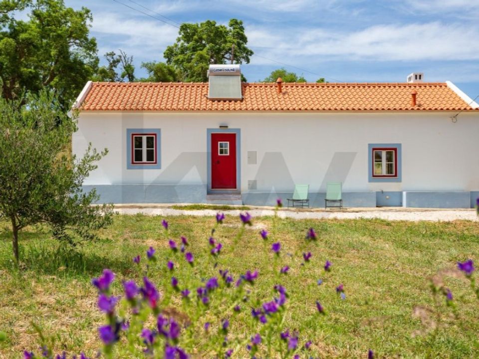 Farm i Aldeia de Sao Luis, Beja - foto 1