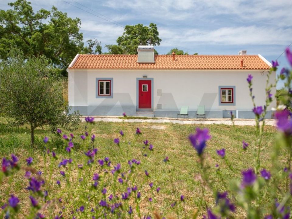 Farm i Aldeia de Sao Luis, Beja - foto 3