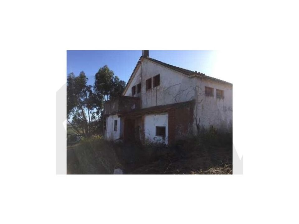 Farm i Alenquer, Lisbon - foto 4