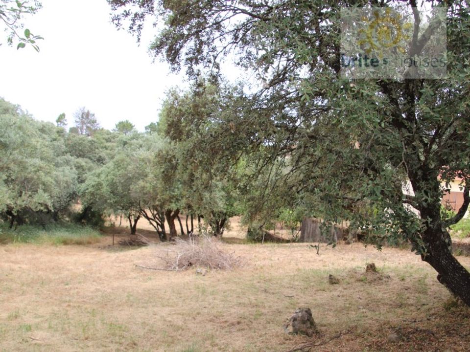 Helårsgrund i Tomar, Santarem - foto 1