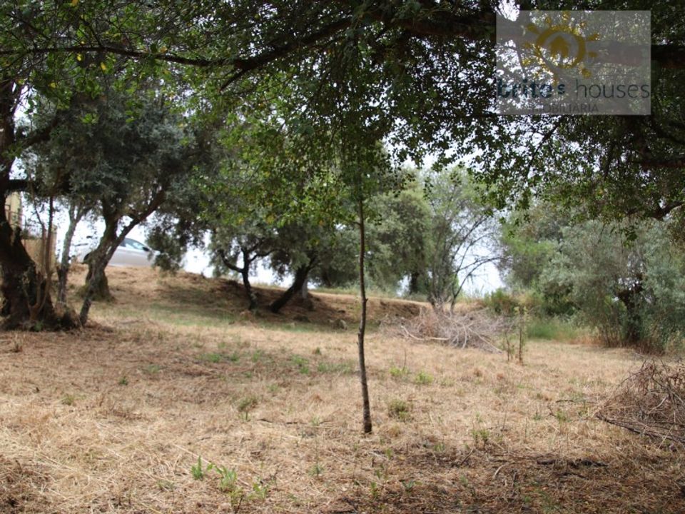 Helårsgrund i Tomar, Santarem - foto 3