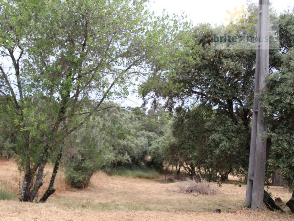 Helårsgrund i Tomar, Santarem - foto 5