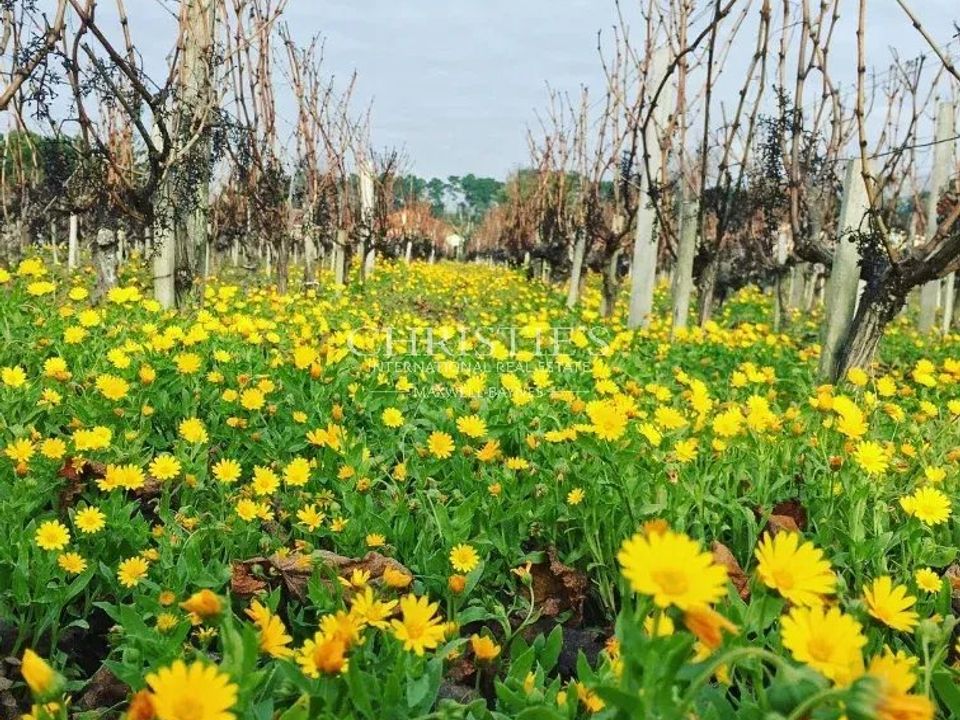 Villa i Montagne, Gironde - foto 3