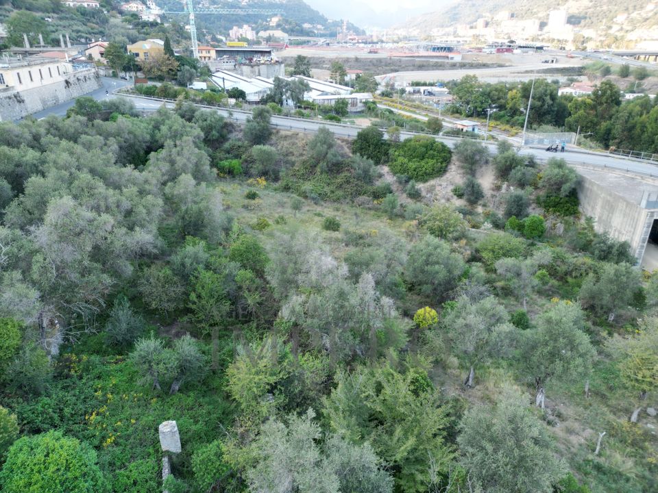 Villa i Ventimiglia, Imperia - foto 4