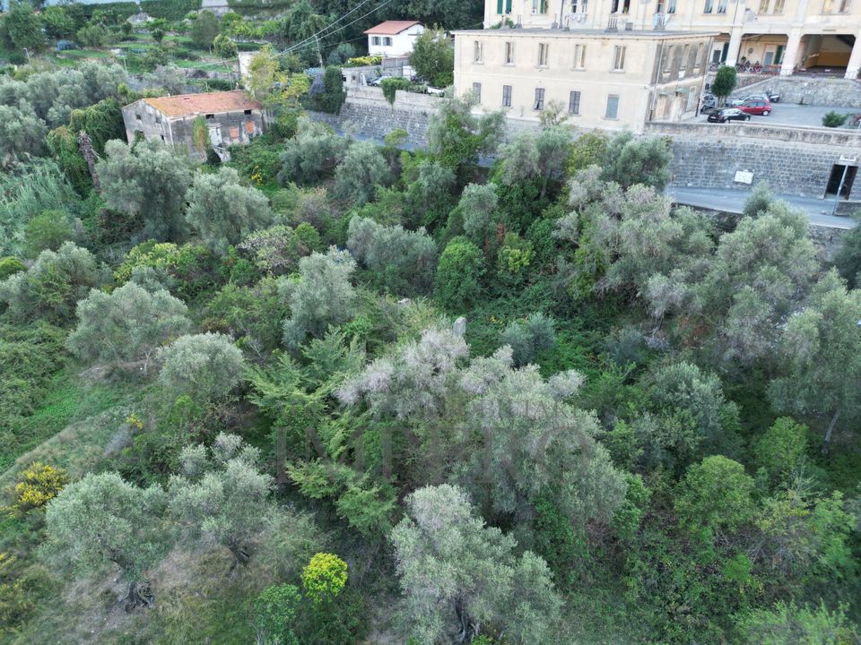 Villa i Ventimiglia, Imperia - foto 5