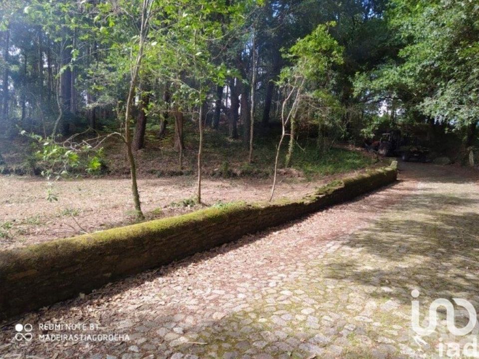 Tomt i Caminha, Viana do Castelo - bilde 4