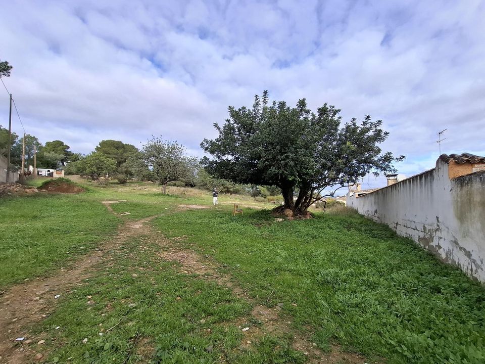 Helårsgrund i La Pobla De Vallbona, Valencia - foto 2