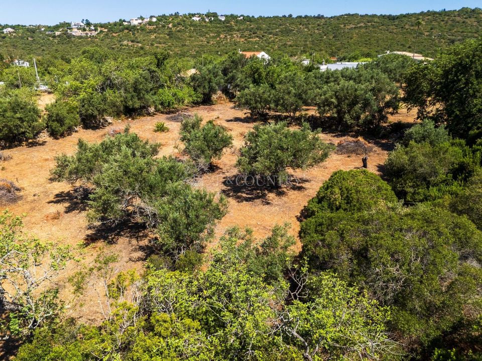 Helårsgrund i Loule, Faro - foto 3