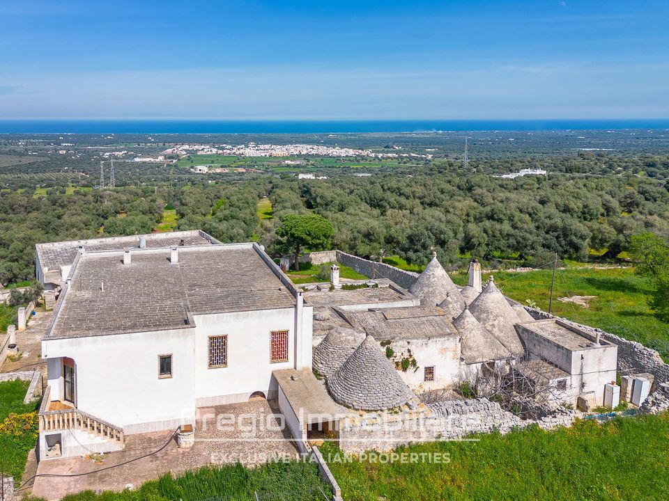 Farm hus i Cisternino, Brindisi - foto 3