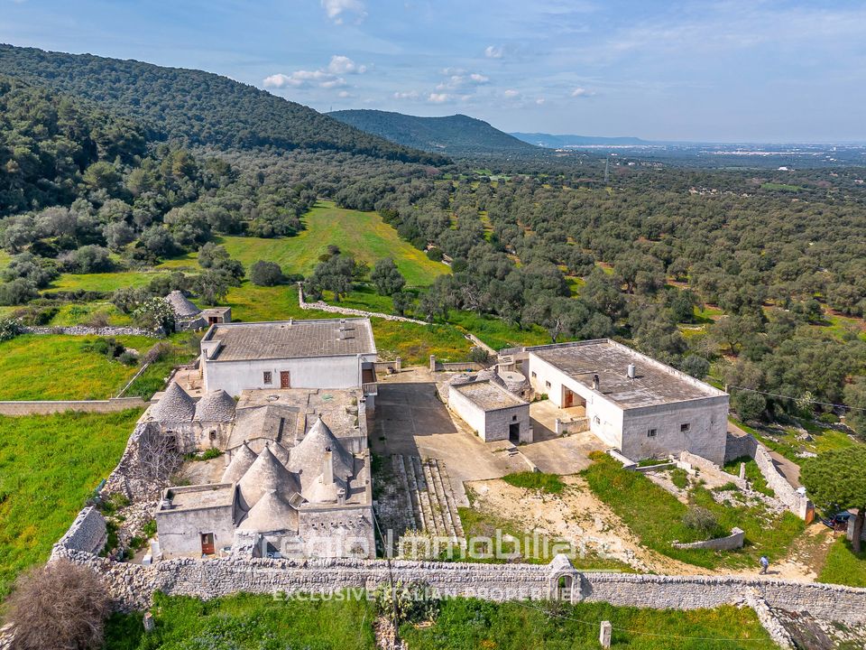 Farm hus i Cisternino, Brindisi - foto 5