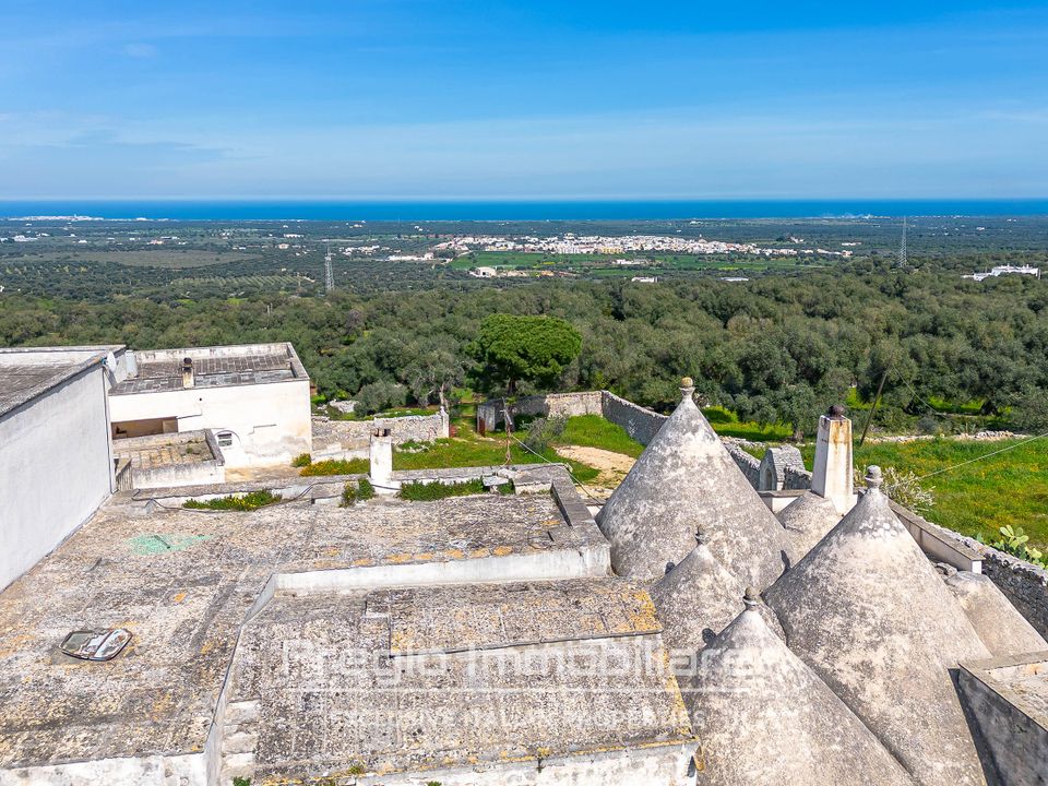 Farm hus i Cisternino, Brindisi - foto 4