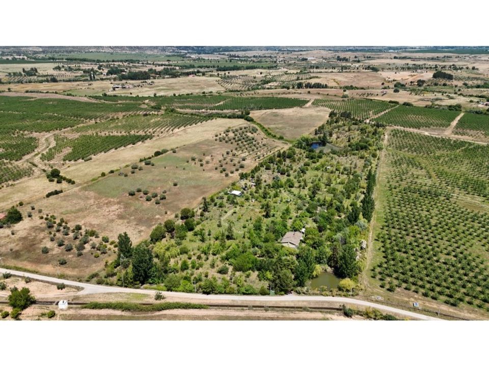 Farm i Ladoeiro, Castelo Branco - foto 1