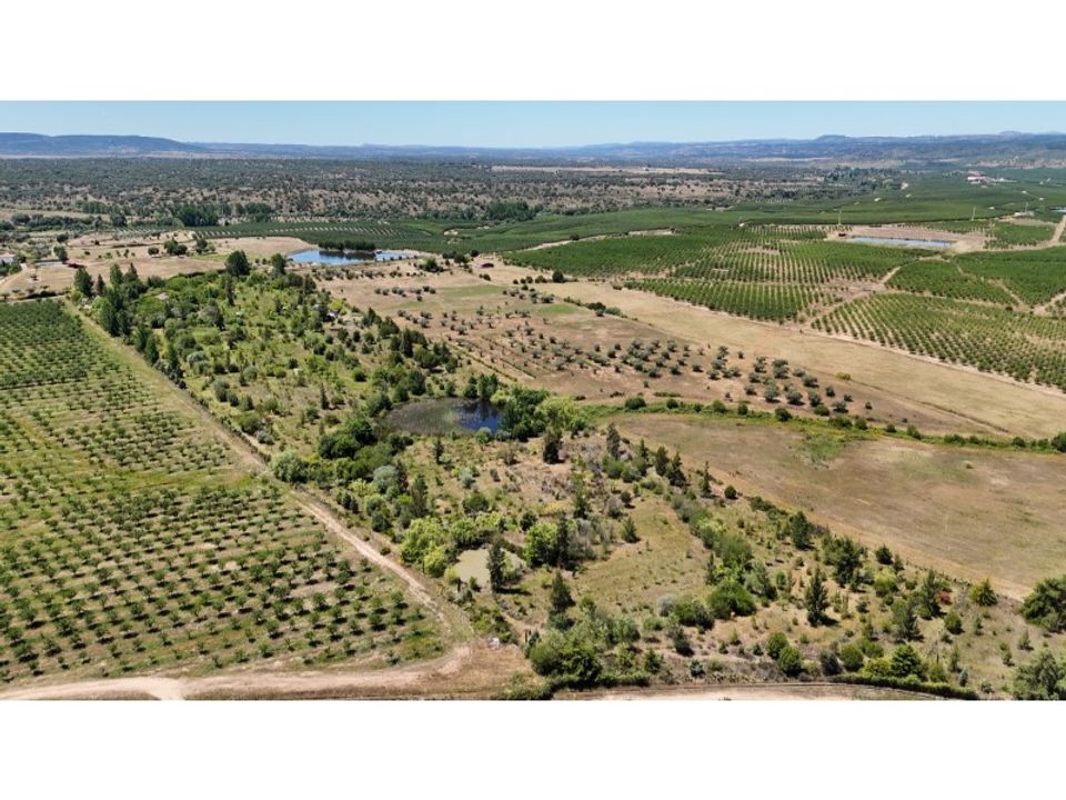Farm i Ladoeiro, Castelo Branco - foto 2