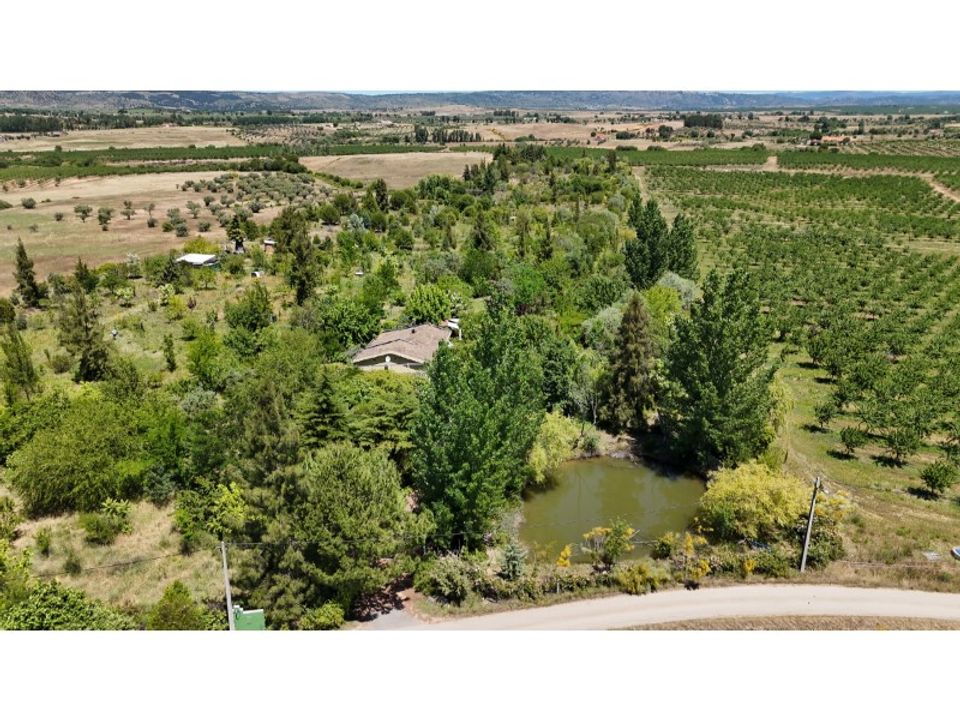 Farm i Ladoeiro, Castelo Branco - foto 5