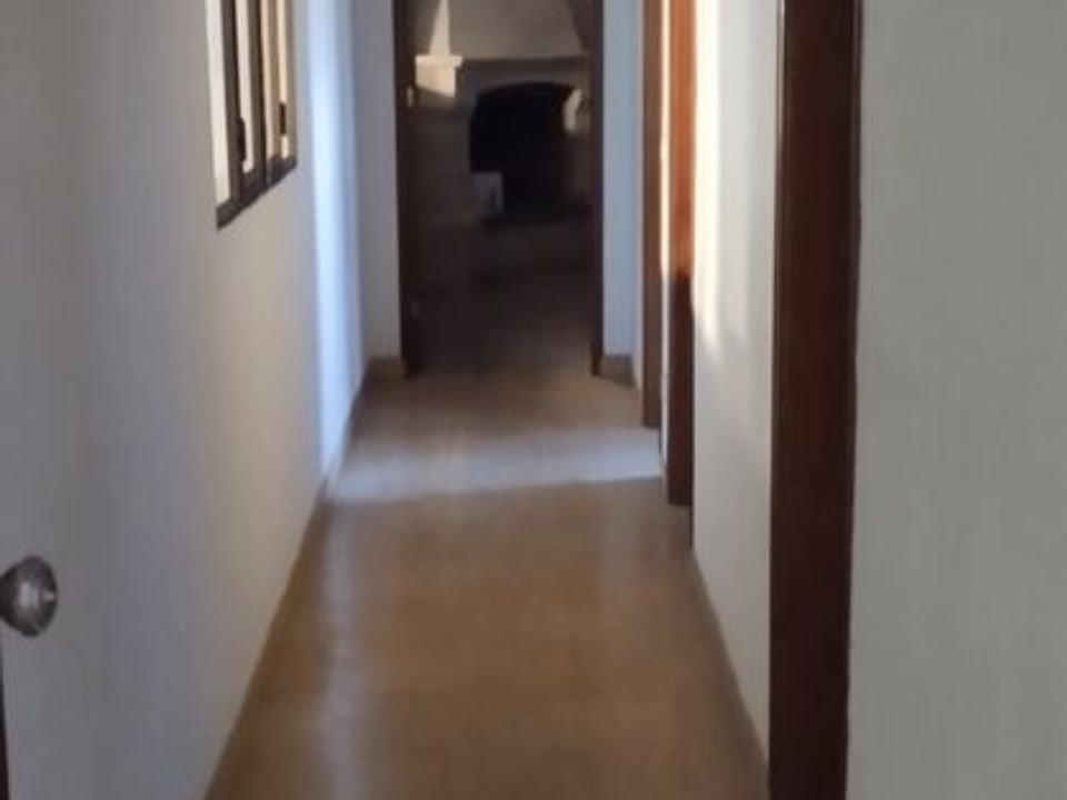 L'establiment comercial a Malhou, Louriceira e Espinheiro, Santarem - foto 5