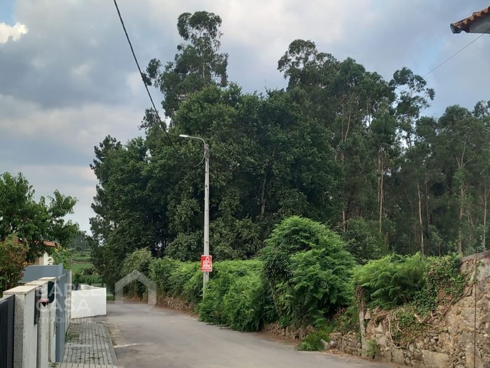 Helårsgrund i Alvito, Beja - foto 1