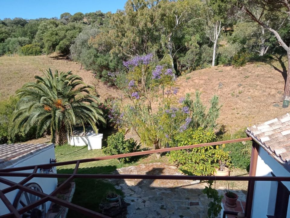 Finca i Casares, Malaga - foto 5