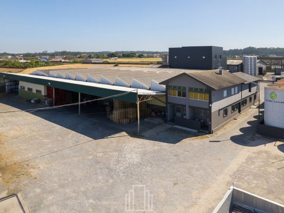 Erhvervsejendom i Estarreja, Aveiro - foto 2