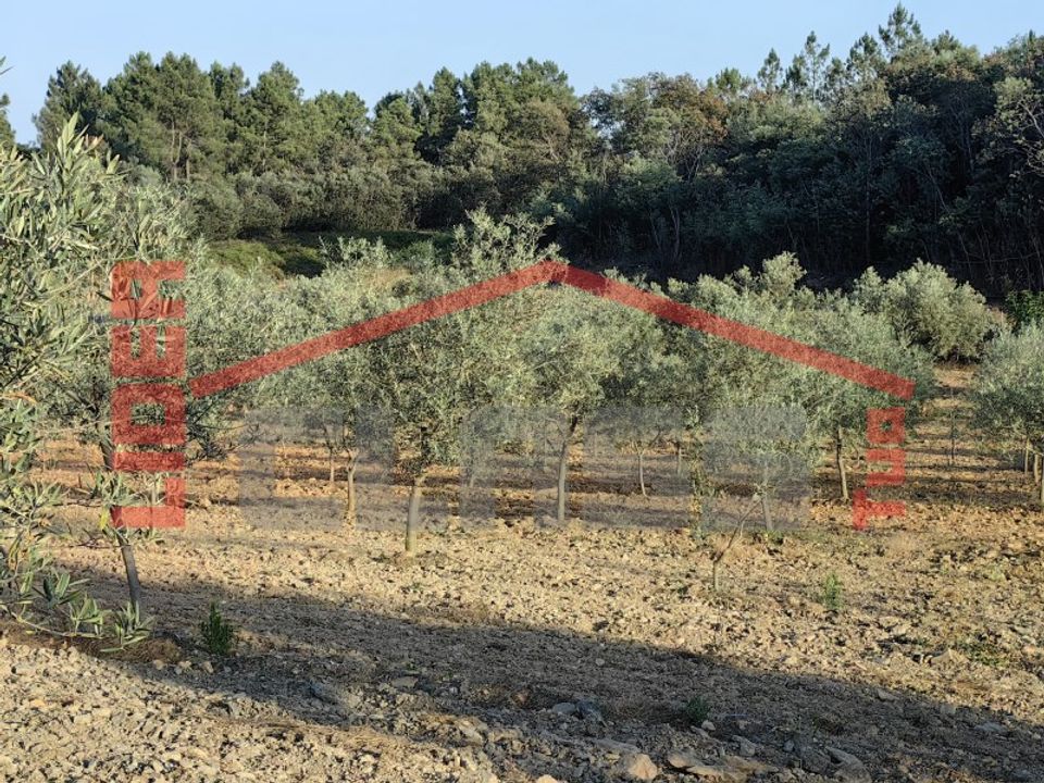 Tomt i Alvite e Passos, Braga - bilde 5