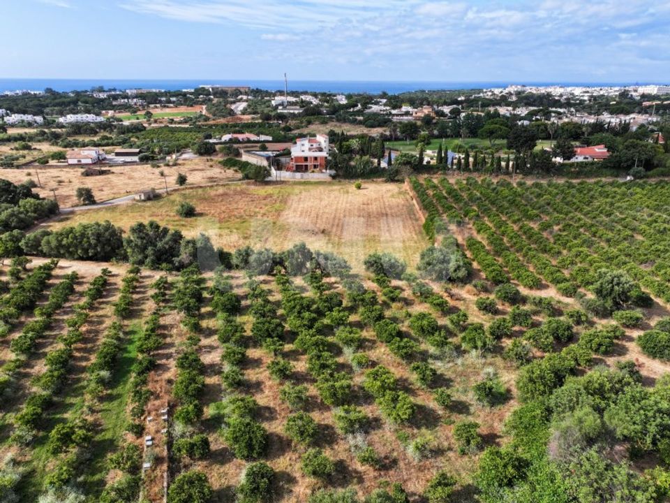 Helårsgrund i Albufeira, Faro - foto 3