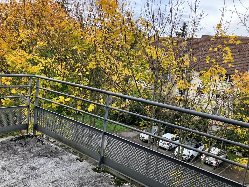 Apartment in Saverne, Bas-Rhin - photo 2