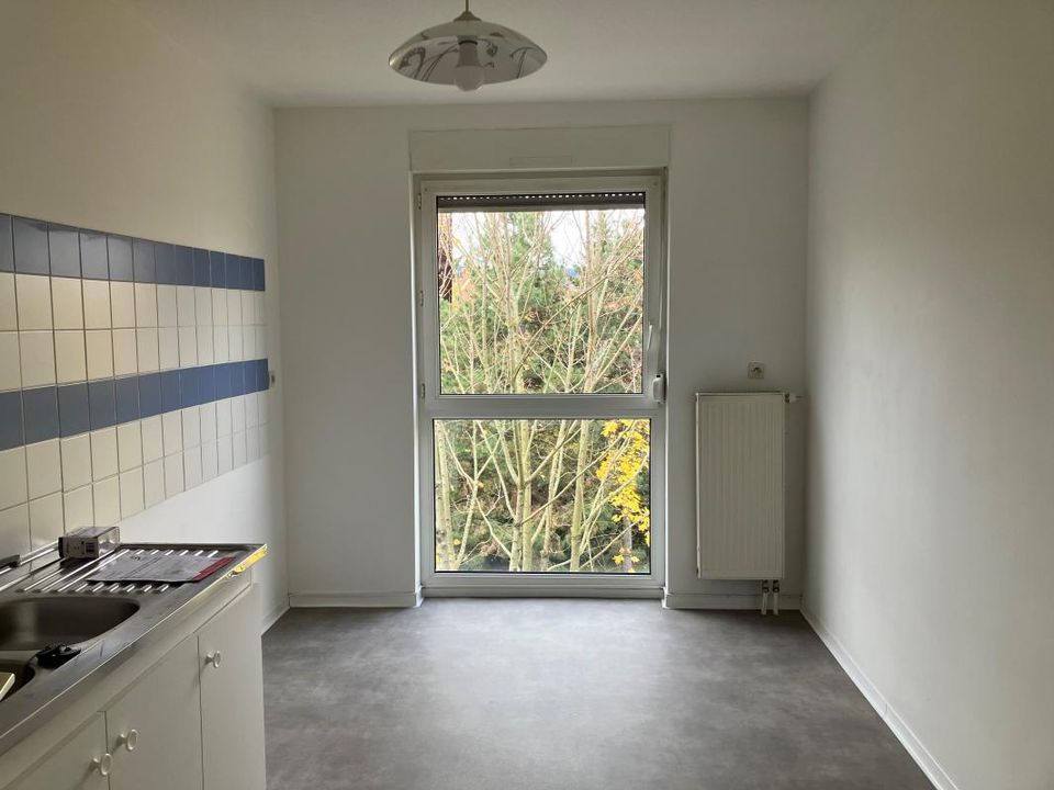 Apartment in Saverne, Bas-Rhin - photo 4
