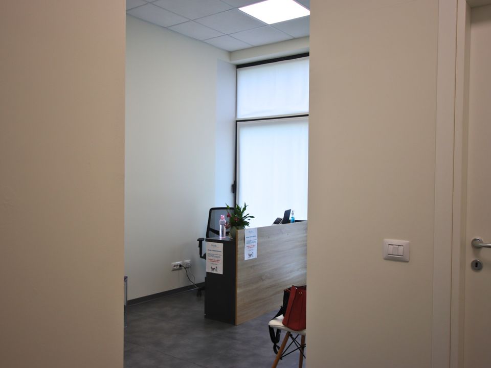 L'establiment comercial a Novara, Novara - foto 2