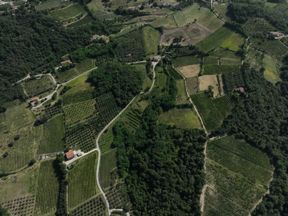 Helårsgrund i Cinto Euganeo, Padua - foto 3