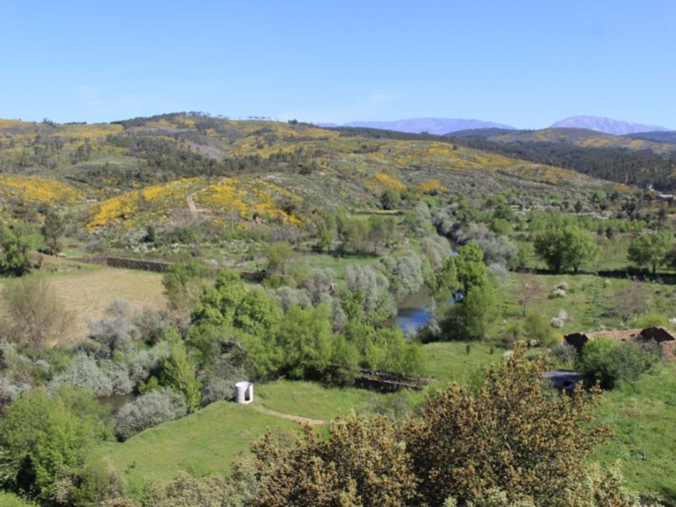 Gård i Barco e Coutada, Castelo Branco - bilde 4