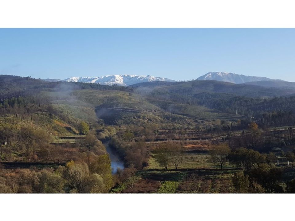 Gård i Barco e Coutada, Castelo Branco - bilde 1