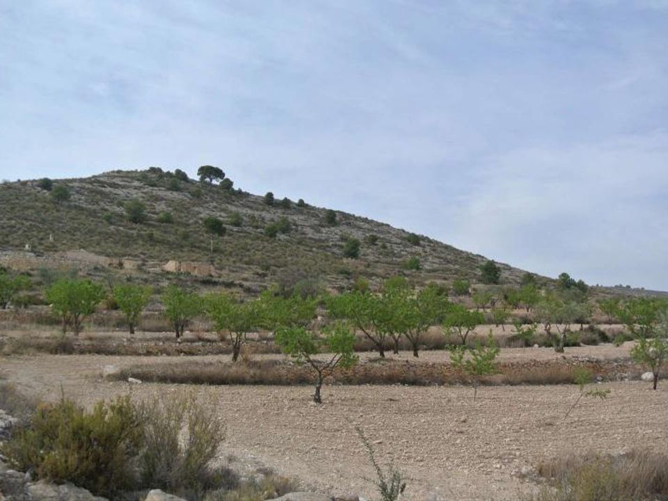 Helårsgrund i Jumilla, Murcia - foto 1