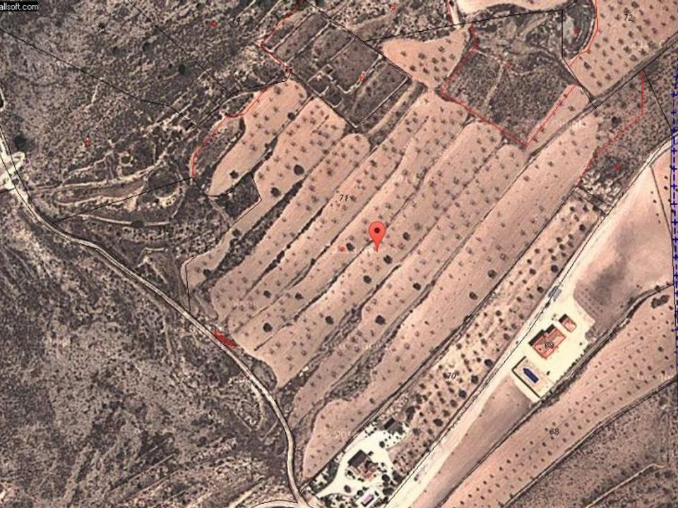 Helårsgrund i Jumilla, Murcia - foto 3