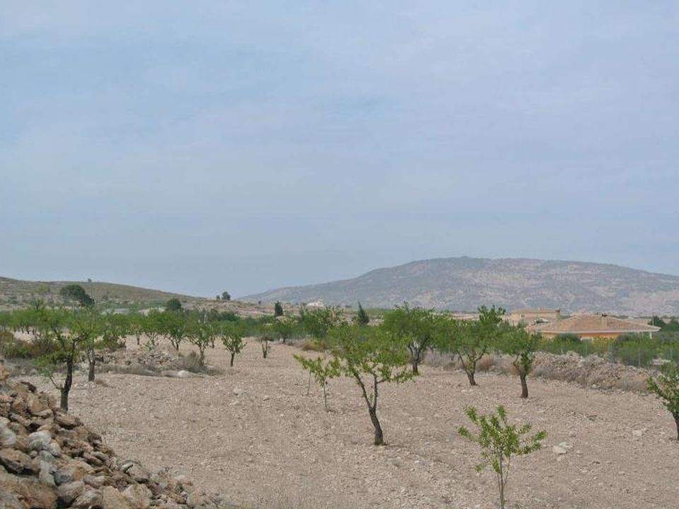 Helårsgrund i Jumilla, Murcia - foto 4