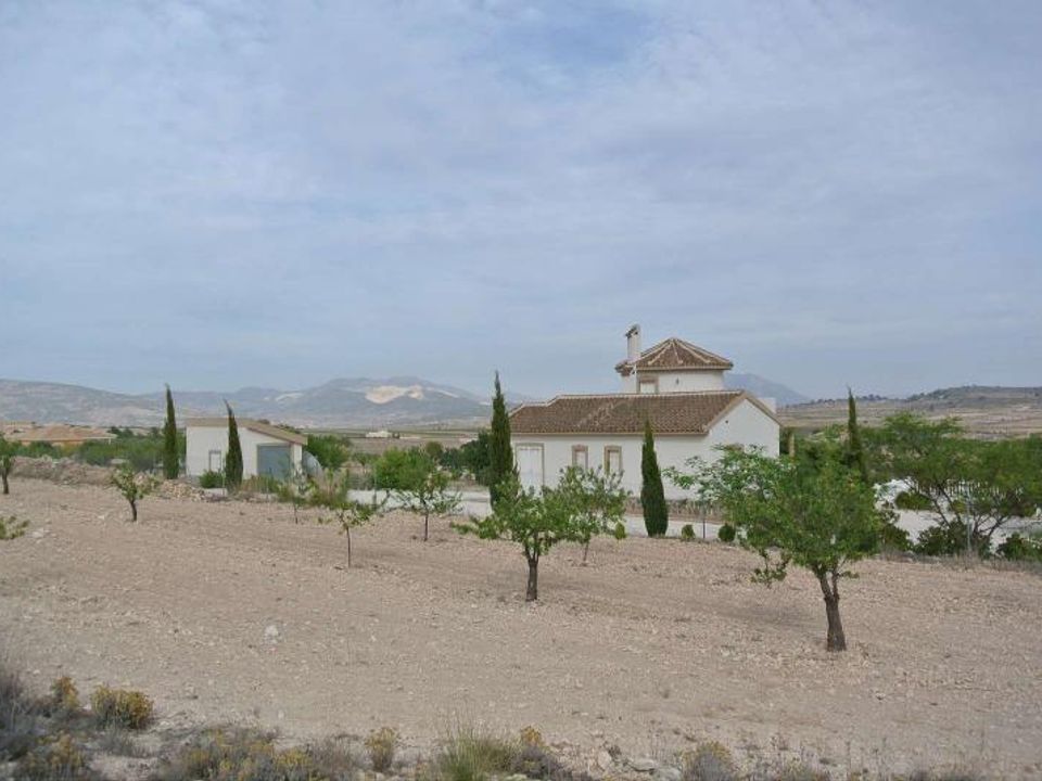 Helårsgrund i Jumilla, Murcia - foto 5