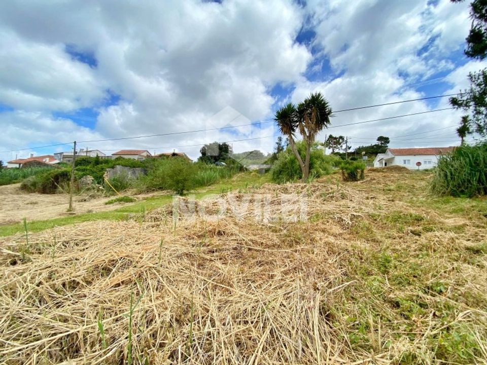 Tomt i Aljubarrota, Leiria - bilde 5