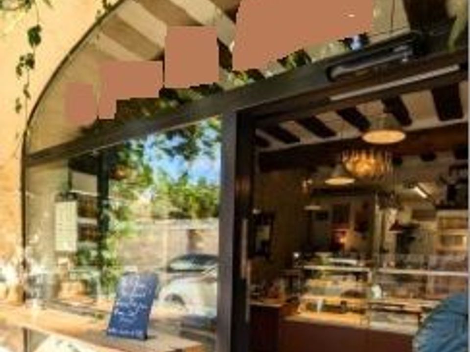 Erhvervsejendom i Fontvieille, Bouches-du-Rhone - foto 1