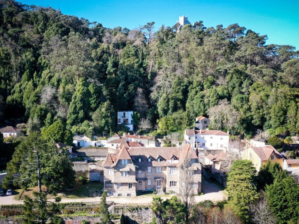 Farm i Sintra, Lisbon - foto 4