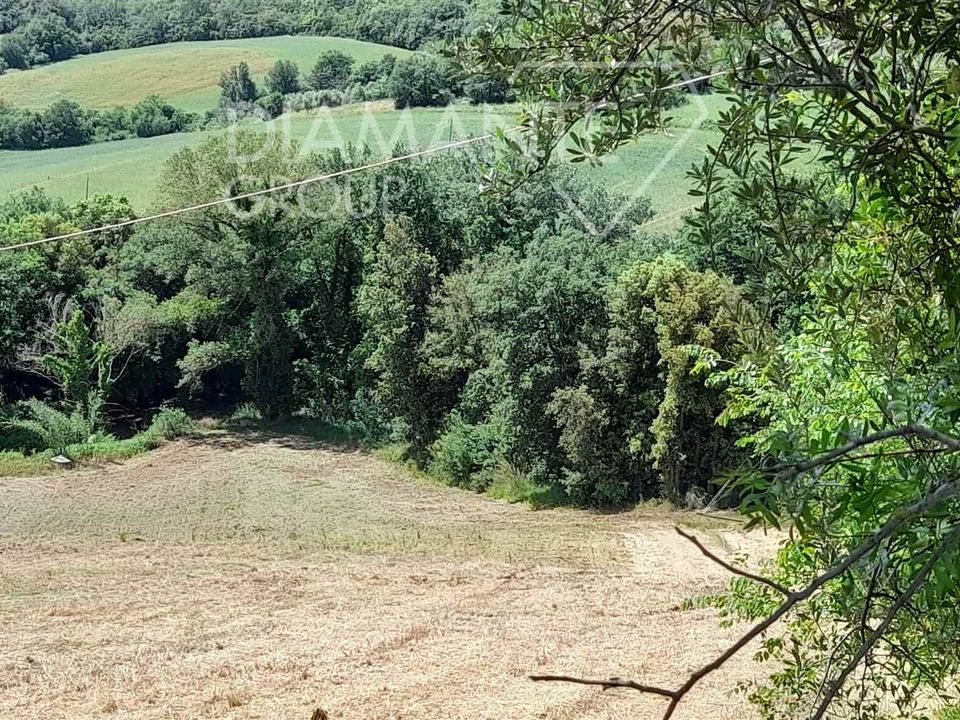 Tomt i Cinigiano, Grosseto - bilde 3